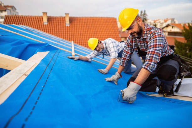 Best Storm Damage Roof Repair  in Edgerton, OH